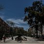 IMG_0856