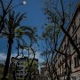 IMG_0858