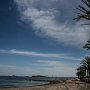IMG_0866