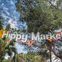 IMG_0872