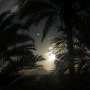 IMG_0956