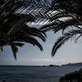 IMG_0959