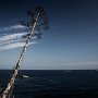 IMG_0965