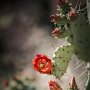 IMG_0975