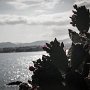 IMG_0978