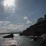 IMG_0981