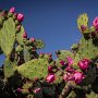 IMG_0989
