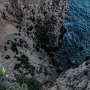IMG_0995