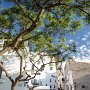 IMG_1065