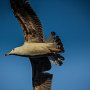 IMG_1096
