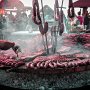 IMG_1104