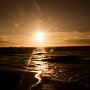 IMG_1288