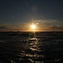 IMG_1295