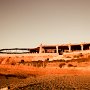 IMG_1313